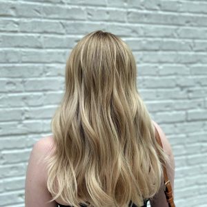 Blonde Hair Highlights